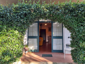 8380 Il Tiglio Verde